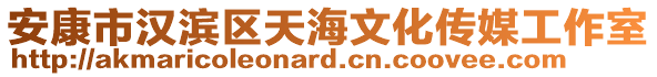 安康市漢濱區(qū)天海文化傳媒工作室