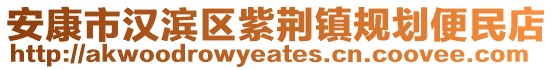 安康市汉滨区紫荆镇规划便民店