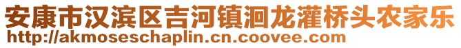 安康市漢濱區(qū)吉河鎮(zhèn)洄龍灌橋頭農(nóng)家樂