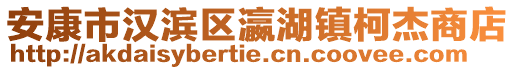 安康市漢濱區(qū)瀛湖鎮(zhèn)柯杰商店