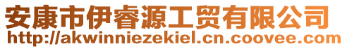 安康市伊睿源工貿(mào)有限公司