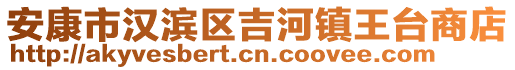 安康市漢濱區(qū)吉河鎮(zhèn)王臺商店