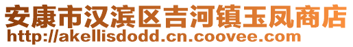 安康市漢濱區(qū)吉河鎮(zhèn)玉鳳商店