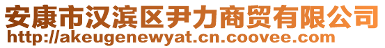 安康市漢濱區(qū)尹力商貿有限公司