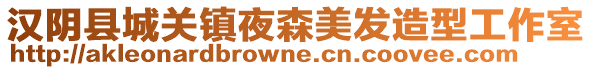 漢陰縣城關(guān)鎮(zhèn)夜森美發(fā)造型工作室