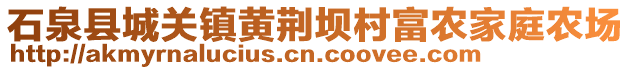 石泉縣城關(guān)鎮(zhèn)黃荊壩村富農(nóng)家庭農(nóng)場