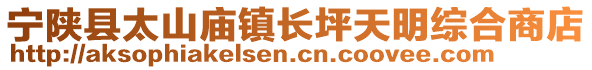 寧陜縣太山廟鎮(zhèn)長坪天明綜合商店