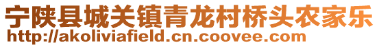 寧陜縣城關(guān)鎮(zhèn)青龍村橋頭農(nóng)家樂