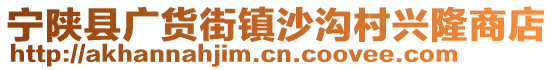 寧陜縣廣貨街鎮(zhèn)沙溝村興隆商店