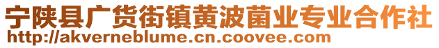 寧陜縣廣貨街鎮(zhèn)黃波菌業(yè)專業(yè)合作社