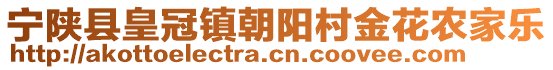 寧陜縣皇冠鎮(zhèn)朝陽(yáng)村金花農(nóng)家樂(lè)