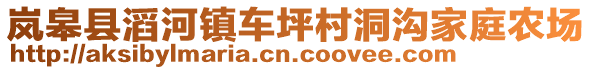 嵐皋縣滔河鎮(zhèn)車坪村洞溝家庭農場