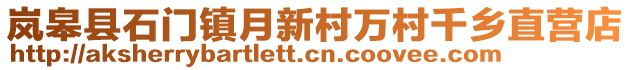 嵐皋縣石門鎮(zhèn)月新村萬村千鄉(xiāng)直營店