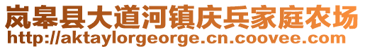 嵐皋縣大道河鎮(zhèn)慶兵家庭農(nóng)場