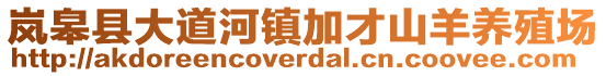 嵐皋縣大道河鎮(zhèn)加才山羊養(yǎng)殖場