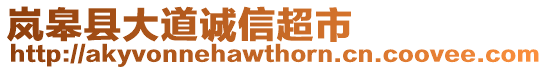 嵐皋縣大道誠信超市