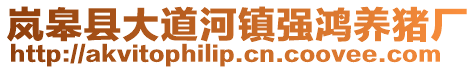 嵐皋縣大道河鎮(zhèn)強(qiáng)鴻養(yǎng)豬廠