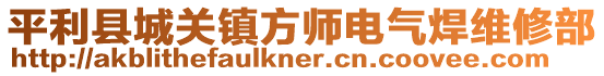 平利縣城關(guān)鎮(zhèn)方師電氣焊維修部