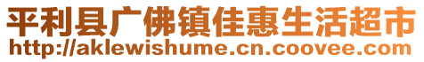 平利縣廣佛鎮(zhèn)佳惠生活超市