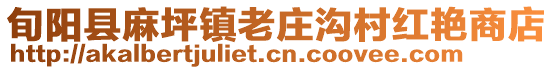 旬陽縣麻坪鎮(zhèn)老莊溝村紅艷商店