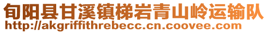 旬陽縣甘溪鎮(zhèn)梯巖青山嶺運輸隊