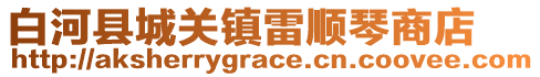 白河縣城關(guān)鎮(zhèn)雷順琴商店