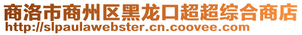 商洛市商州區(qū)黑龍口超超綜合商店