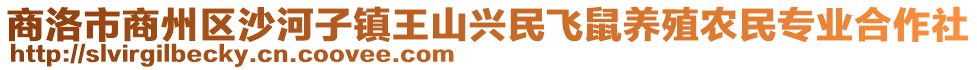 商洛市商州區(qū)沙河子鎮(zhèn)王山興民飛鼠養(yǎng)殖農民專業(yè)合作社