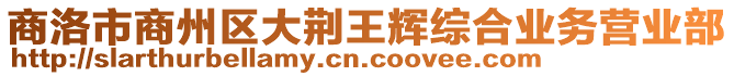 商洛市商州區(qū)大荊王輝綜合業(yè)務(wù)營(yíng)業(yè)部