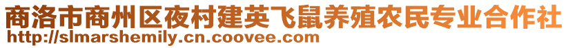 商洛市商州區(qū)夜村建英飛鼠養(yǎng)殖農(nóng)民專業(yè)合作社