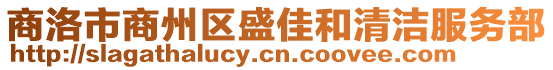 商洛市商州區(qū)盛佳和清潔服務部