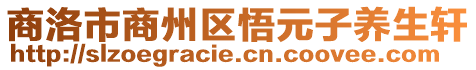 商洛市商州區(qū)悟元子養(yǎng)生軒