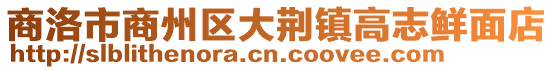 商洛市商州區大荊鎮高志鮮面店