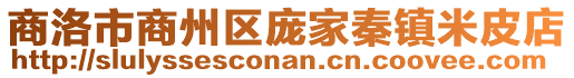 商洛市商州區(qū)龐家秦鎮(zhèn)米皮店