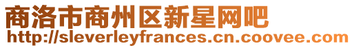 商洛市商州區(qū)新星網(wǎng)吧