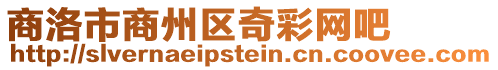 商洛市商州區奇彩網吧