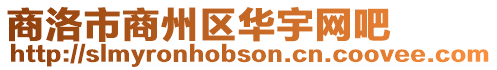 商洛市商州區華宇網吧