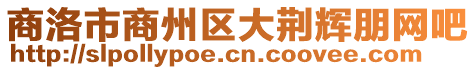 商洛市商州區大荊輝朋網吧
