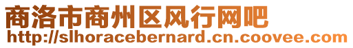 商洛市商州區風行網吧