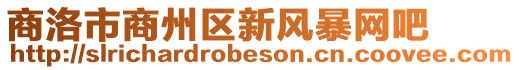 商洛市商州區新風暴網吧