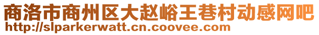 商洛市商州區大趙峪王巷村動感網吧