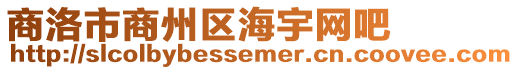 商洛市商州區海宇網吧