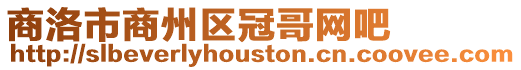 商洛市商州區(qū)冠哥網(wǎng)吧