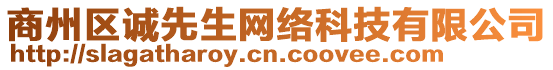 商州區誠先生網絡科技有限公司