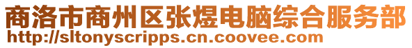 商洛市商州區(qū)張煜電腦綜合服務(wù)部