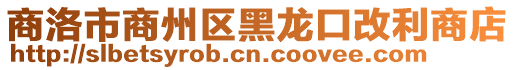 商洛市商州區(qū)黑龍口改利商店