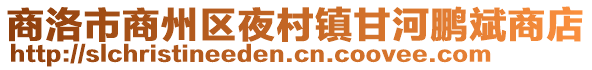 商洛市商州區(qū)夜村鎮(zhèn)甘河鵬斌商店