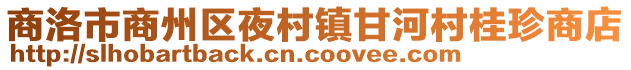 商洛市商州區(qū)夜村鎮(zhèn)甘河村桂珍商店