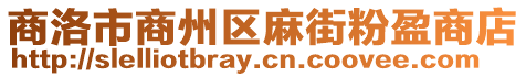 商洛市商州區麻街粉盈商店