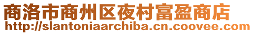 商洛市商州區夜村富盈商店